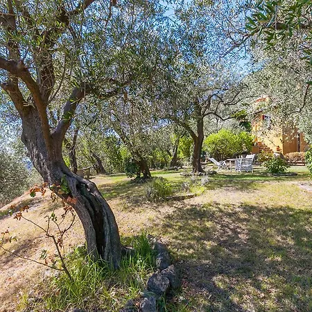 Villa Il Sogno *